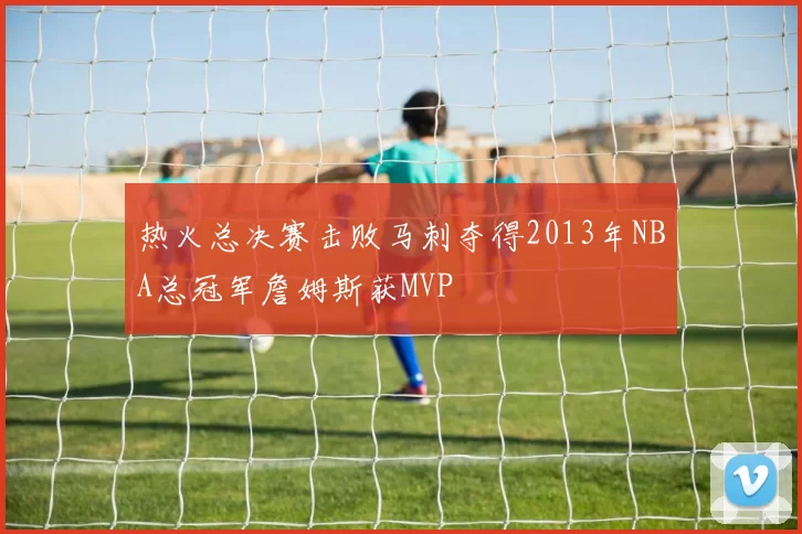 热火总决赛击败马刺夺得2013年NBA总冠军詹姆斯获MVP