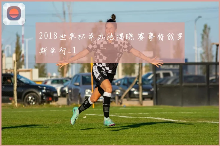 2018世界杯举办地揭晓 赛事将俄罗斯举行_1